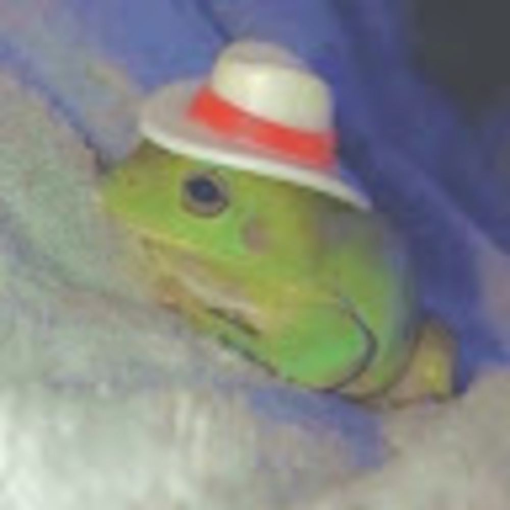 Meet your Posher, Pin